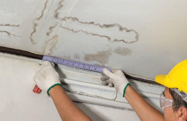 Reliable Flood Cleanup contractor in Dearborn, MI by Water Damage Irwin